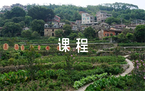 篮球课训练教案_0