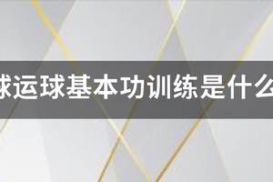 篮球运球基本功训练教案